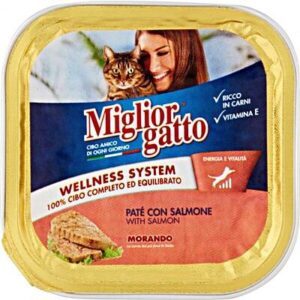 MIGLIOR GATTO VASCH.SALMONE GR.100