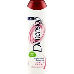 SHAMPOO DIMENSION 2IN1 SECCHI ML.250